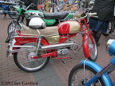 Batavus Whippett at the Alternatieve Elfstedentocht