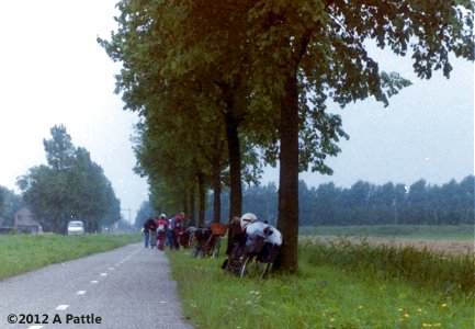 Fireflys in the Netherlands