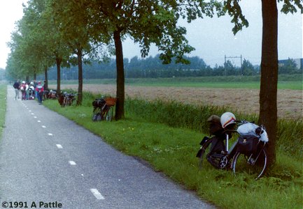 Fireflys in the Netherlands