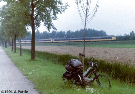 Fireflys in the Netherlands