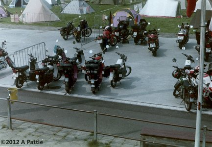 1991 FIM rally