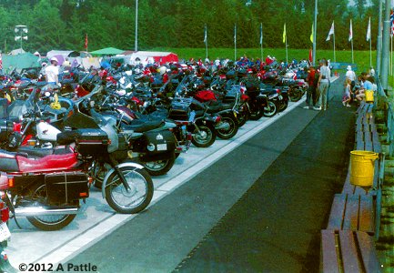 1991 FIM rally