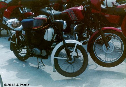 1991 FIM rally
