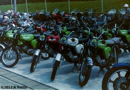1991 FIM rally