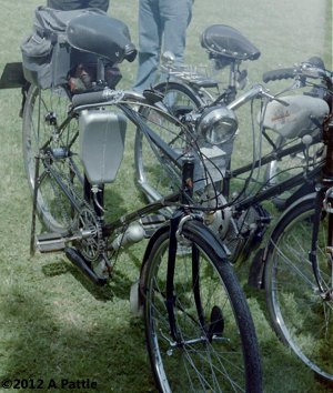 Lohmann and Cucciolo