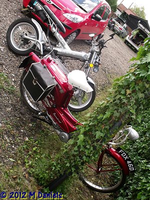 Runabout & MadAss