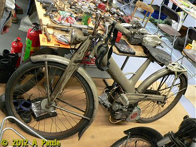 BMG Mosquito
