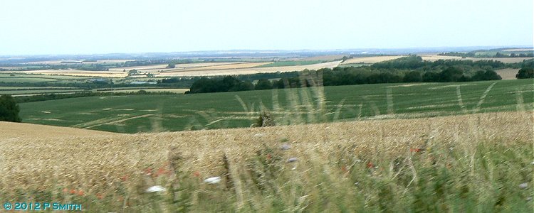 The view from Periwinkle Hill