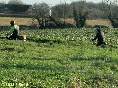 Along the lanes on Shotley peninsula