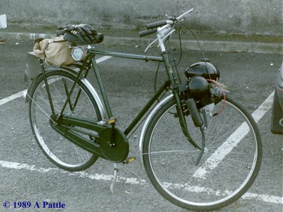Berini