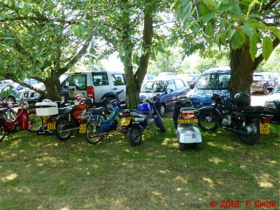 At Waldringfield Maybush