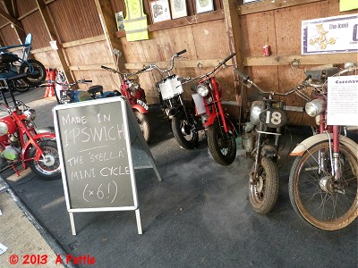 The gathering of Stella Mini-Bikes