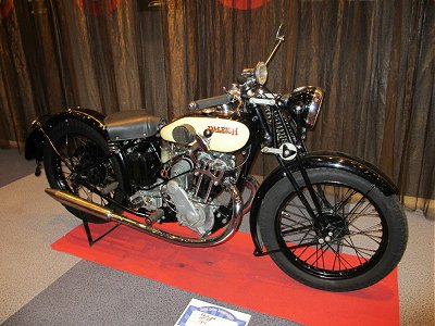 Raleigh MT31