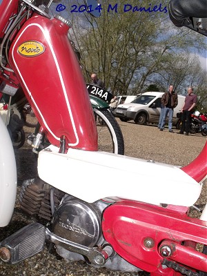 Honda Novio