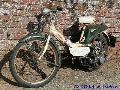Raleigh P50?