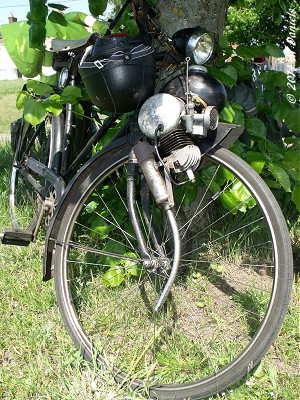 Berini at Fair Green, Diss