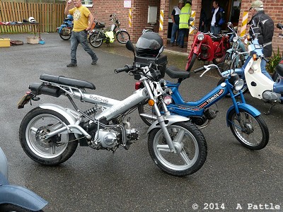 MadAss and Tomos