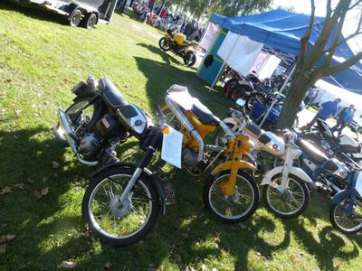 Club stand at Copdock Show