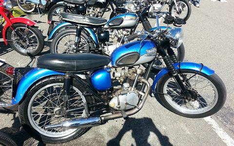 Triumph in Bermuda