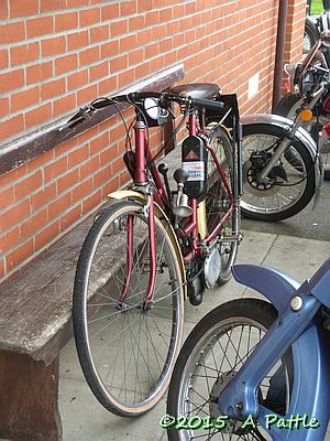Lohmann at Coddenham