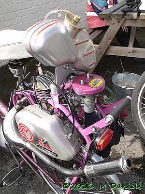 Duloe Daffodil Dash