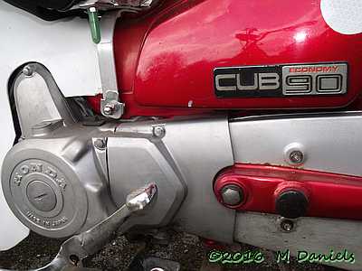 Duloe Daffodil Dash