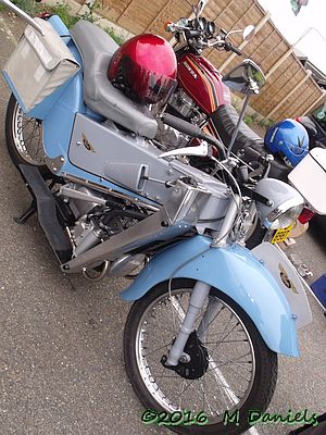 Peninsularis Run