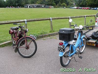 Periwinkle Run, 2016