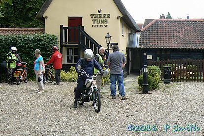 Periwinkle Run, 2016