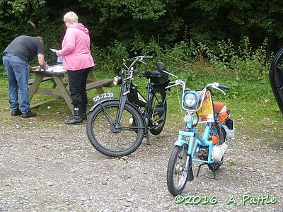 Bluebell Run, Horstead Keynes