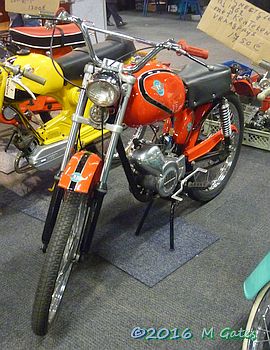 BM (Bonvinci Marino)