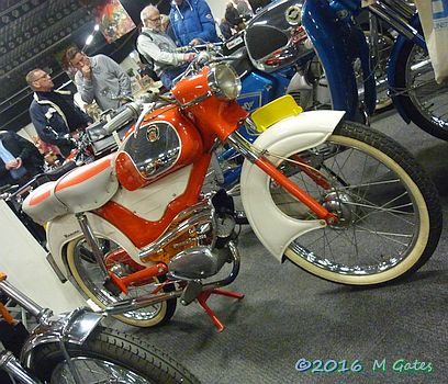 Berini Sport