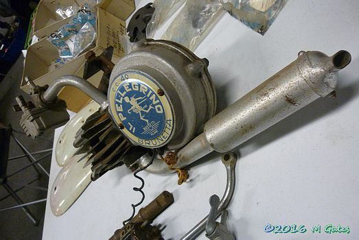 Nasetti Brunetta engine