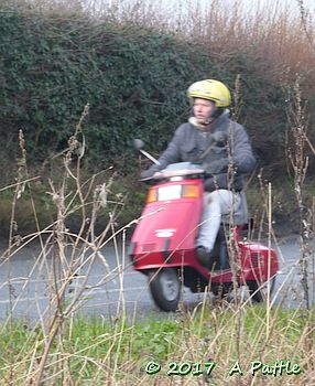 EACC Mince Pie Run at Shotley