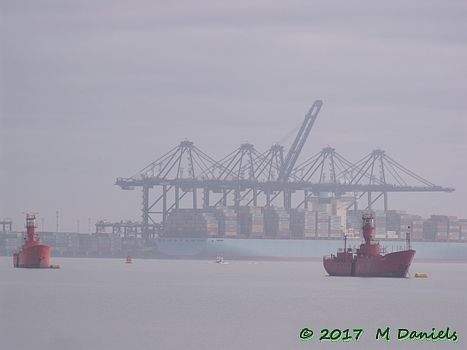 EACC Mince Pie Run at Shotley Shipwreck