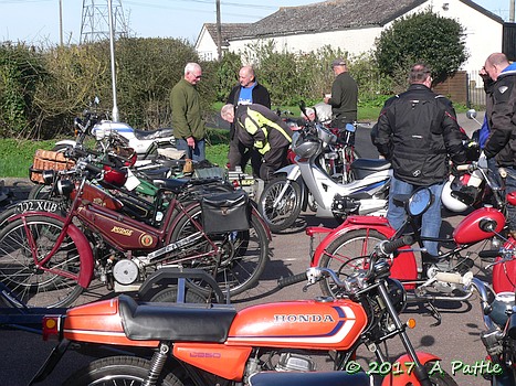 EACC Daffodil Dash at Duloe