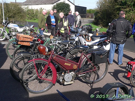 EACC Daffodil Dash at Duloe
