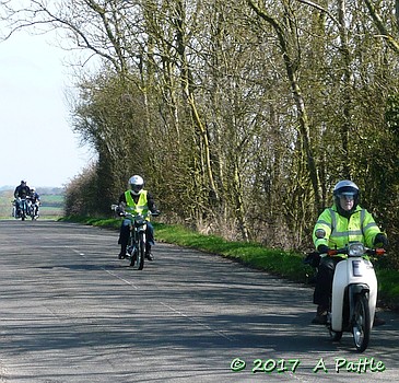 On the EACC Duloe Daffodil Dash