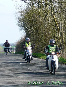 On the EACC Duloe Daffodil Dash