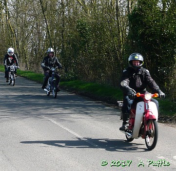 On the EACC Duloe Daffodil Dash