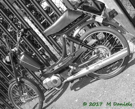 East Anglian Run 2017
