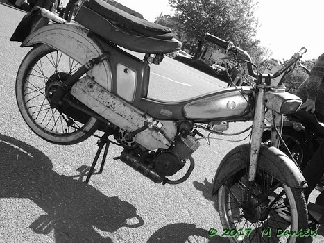 East Anglian Run 2017