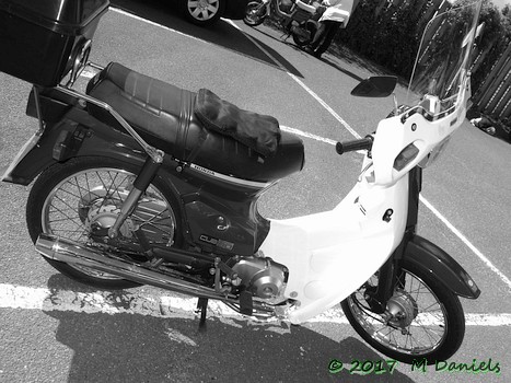 East Anglian Run 2017