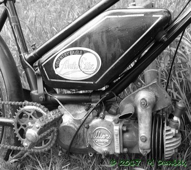 East Anglian Run 2017