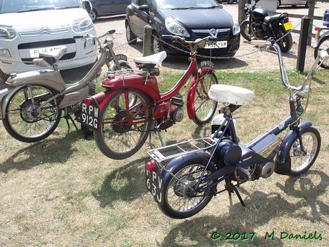 Peninsularis Run 2017