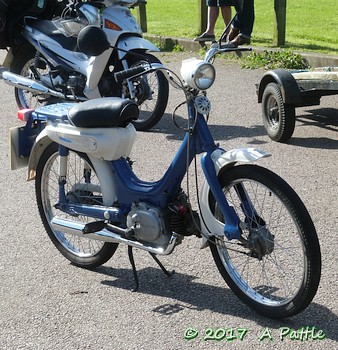 Peter Smith Memorial ‘Periwinkle’ Run