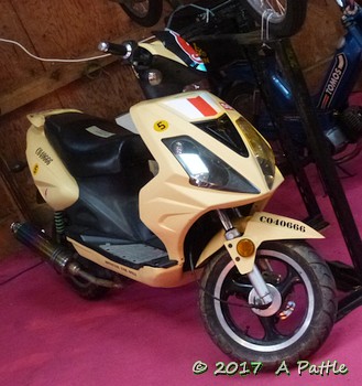 Scooter thing on the EACC stand