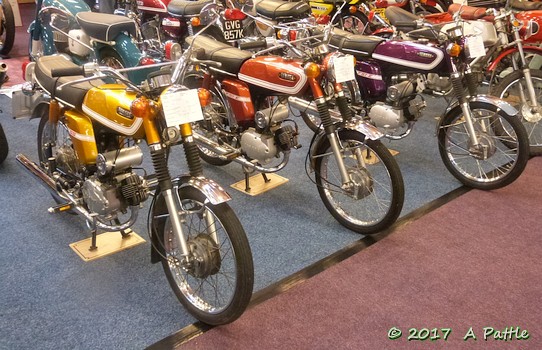Various shades of FS1-E in the Exhibition Hall