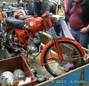 Royal Nord at Central Classics 2017