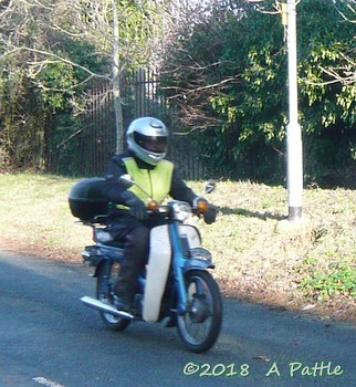Mince Pie Run in Shotley